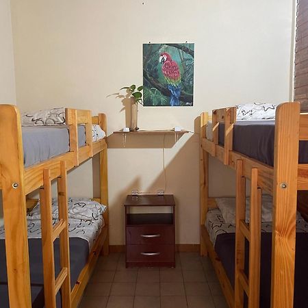 Bungalow Hostel Iguazu Puerto Iguazu Ngoại thất bức ảnh