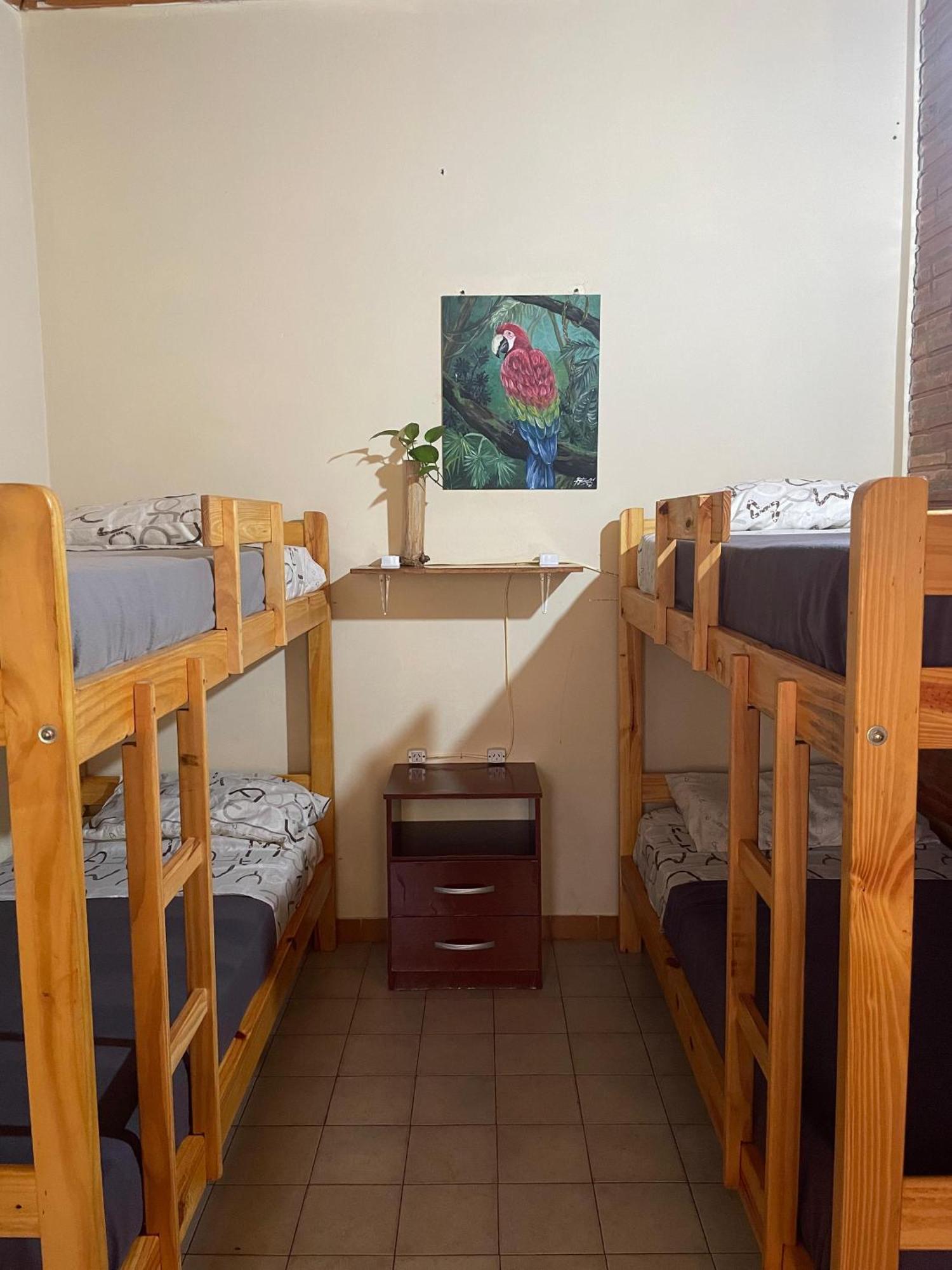 Bungalow Hostel Iguazu Puerto Iguazu Ngoại thất bức ảnh