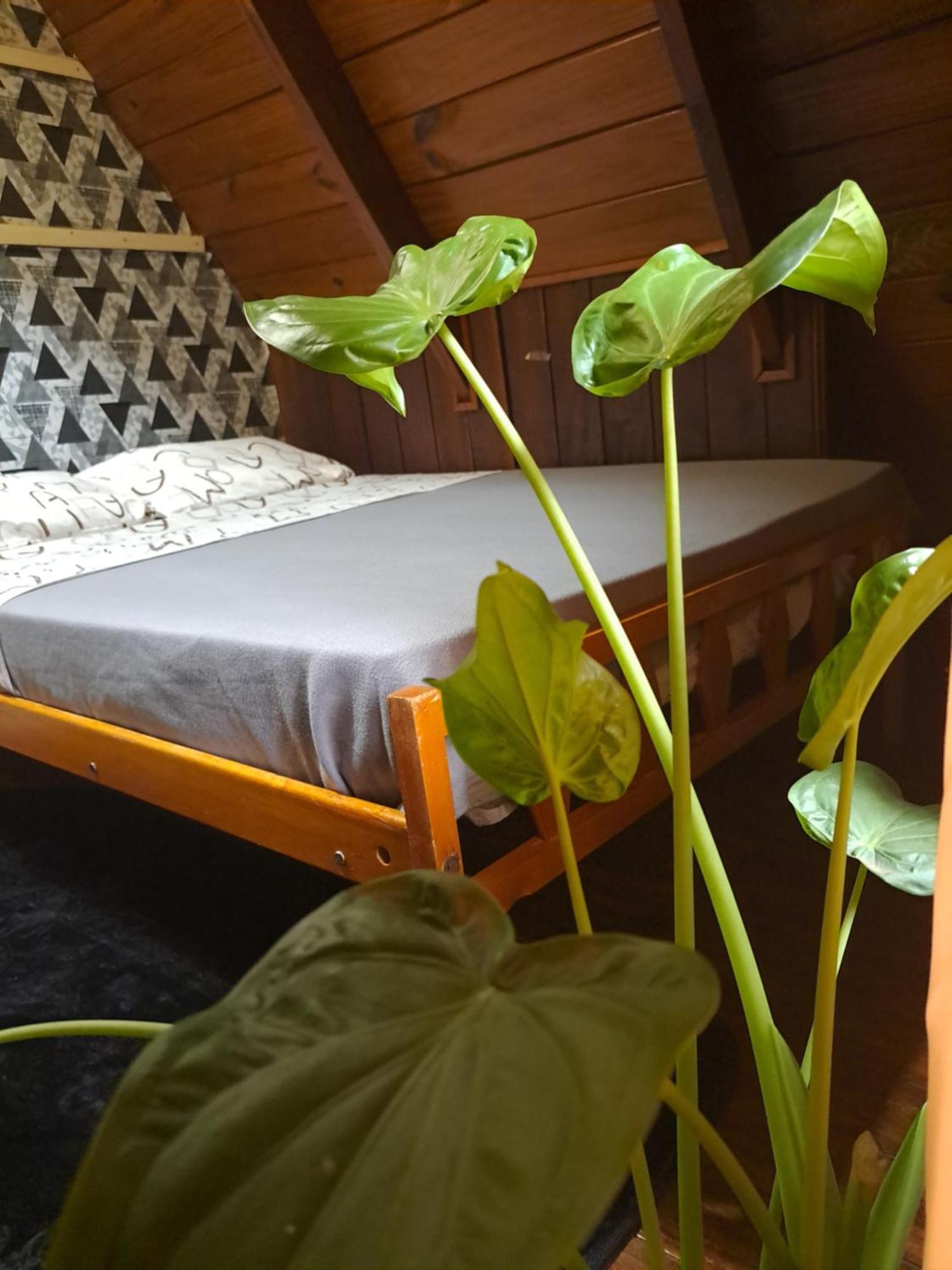 Bungalow Hostel Iguazu Puerto Iguazu Ngoại thất bức ảnh